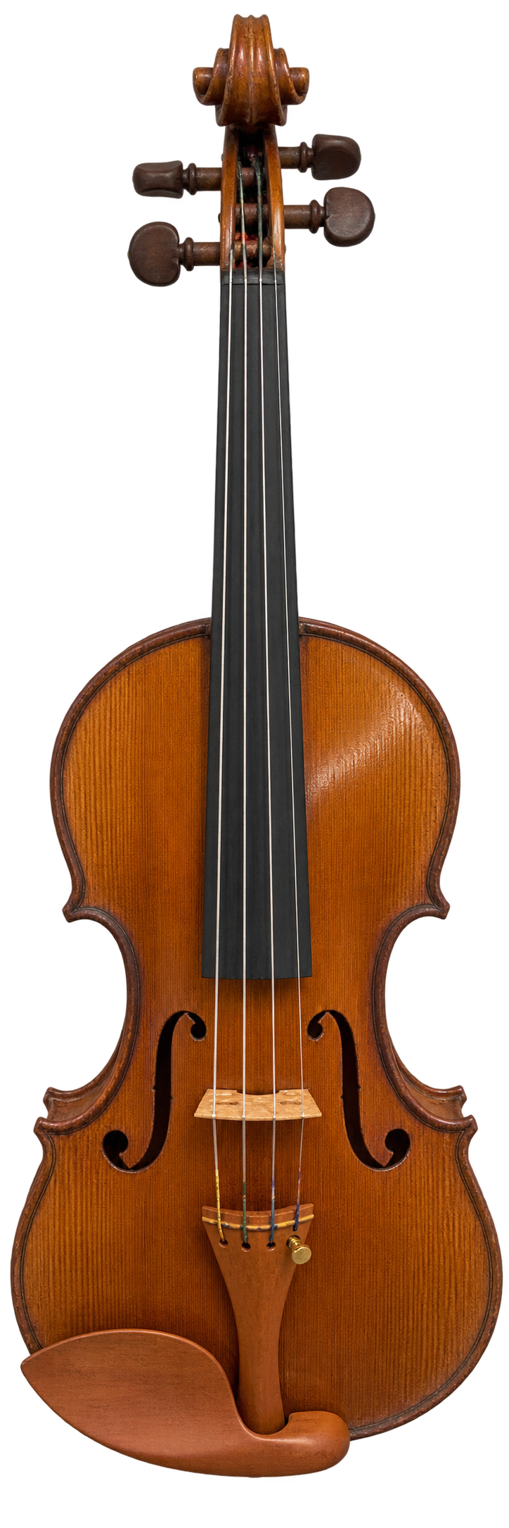 Italian violin bearing a Piero Parravicini label, full front view with warm golden-amber varnish